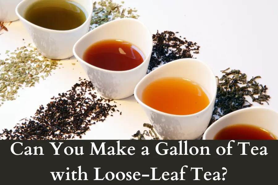 Can You Make a Gallon of Tea with Loose-Leaf Tea