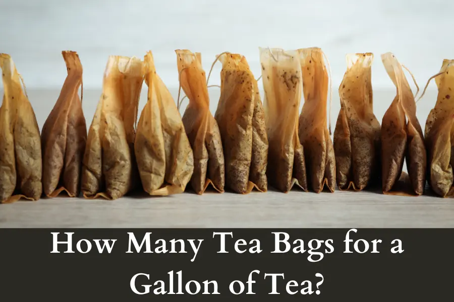 How Many Tea Bags for a Gallon of Tea