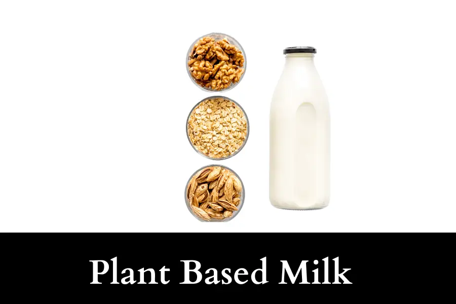 plant milk - Alternative to Formula Milk for Adults