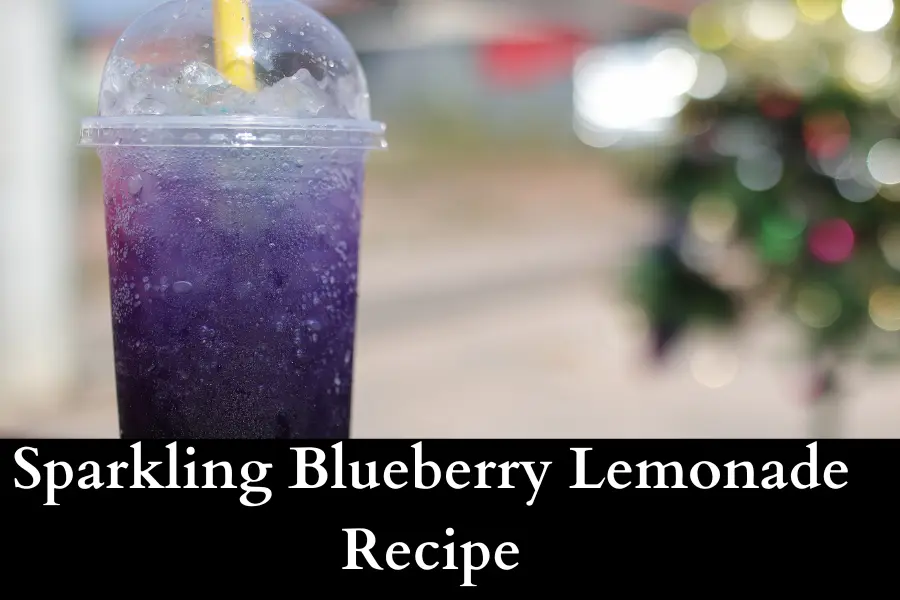 Sparkling Blueberry Lemonade Recipe