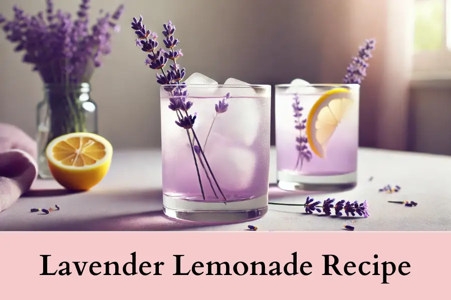 Lavender Lemonade recipe