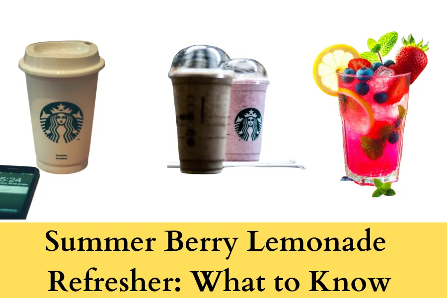 Summer Berry Lemonade Refresher